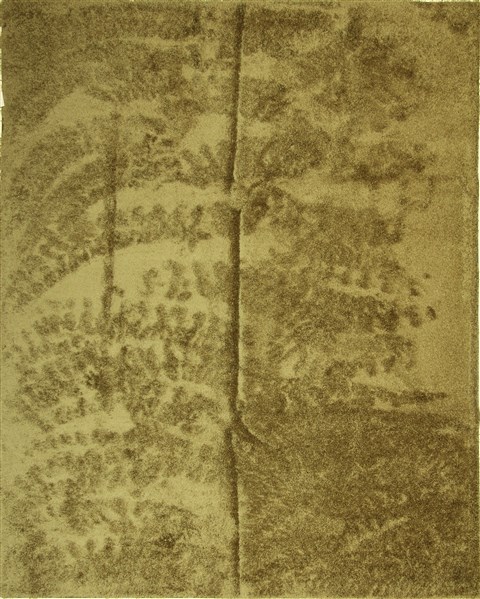 Shaggy Green Machine Made 80 X 100 Area Rug 300-17459 Image 0