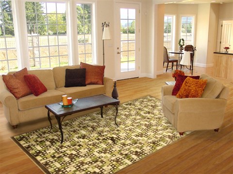 Modern Brown Machine Made 80 X 110 Area Rug 300-17482 Image 4