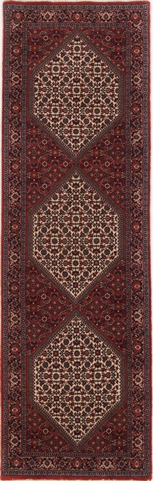 Bidjar Red Runner Hand Knotted 26 X 80  Area Rug 250-17517 Image 0