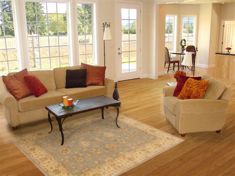 Pishavar Blue Hand Knotted 50 X 70 Area Rug 250-17543 Image 2