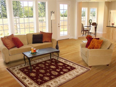 Tabriz Red Hand Knotted 41 X 61 Area Rug 250-17577 Image 5