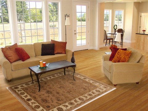 Tabriz Brown Hand Knotted 40 X 62 Area Rug 250-17578 Image 5