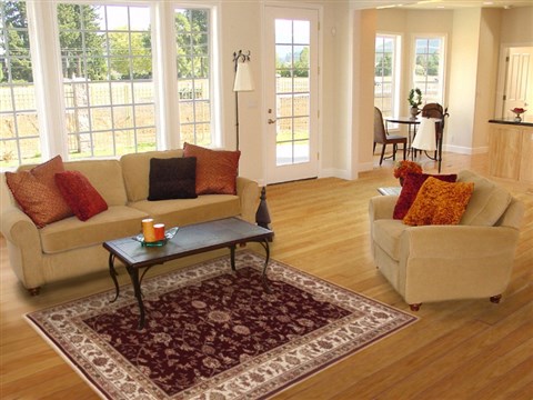 Tabriz Red Hand Knotted 40 X 60 Area Rug 251-17634 Image 5