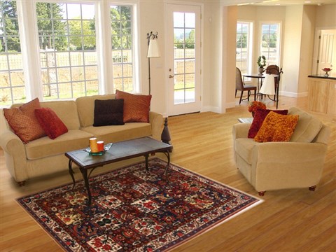 Bakhtiar Multicolor Hand Knotted 49 X 70 Area Rug 251-17638 Image 5