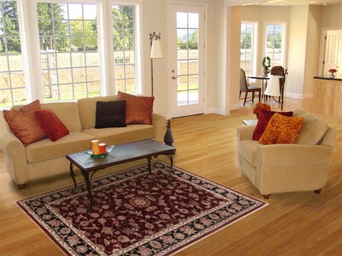 Tabriz Red Hand Knotted 40 X 60 Area Rug 251-17644 Image 5