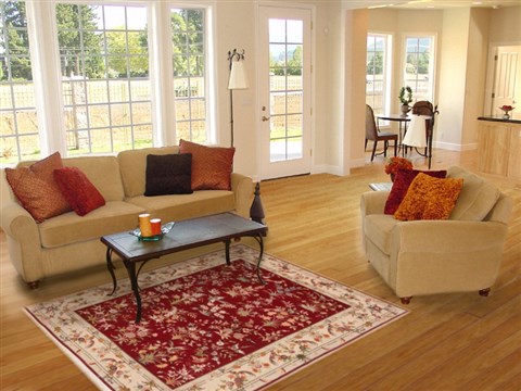 Tabriz Red Hand Knotted 411 X 67 Area Rug 251-17661 Image 5