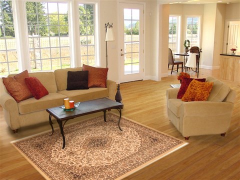 Tabriz Beige Machine Made 45 X 64 Area Rug 300-17697 Image 5