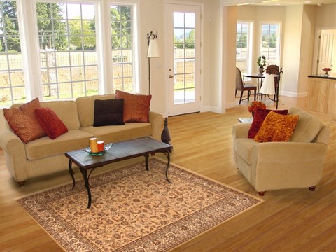 Modern Beige Machine Made 45 X 64 Area Rug 300-17698 Image 5