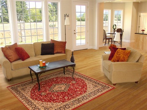 Modern Red Machine Made 45 X 64  Area Rug 300-17701 Image 5