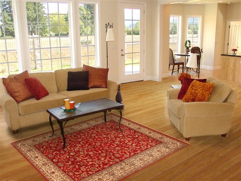 Pishavar Red Machine Made 45 X 64 Area Rug 300-17702 Image 5