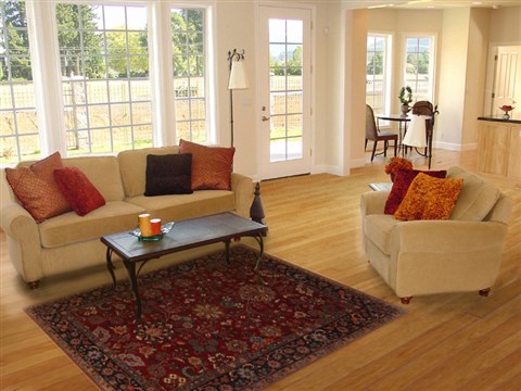 Tabriz Red Hand Knotted 51 X 610 Area Rug 250-17731 Image 5