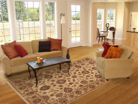 Pishavar Beige Hand Tufted 60 X 90 Area Rug 300-17732 Image 4