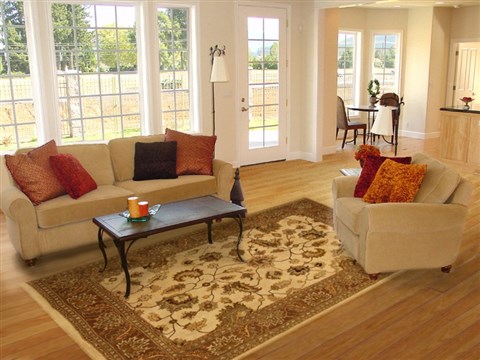 Pishavar Beige Hand Tufted 81 X 1011 Area Rug 300-17751 Image 4