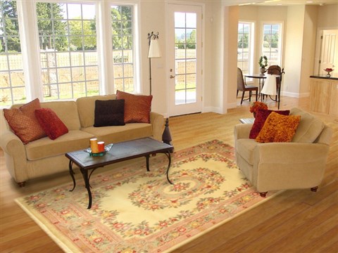 Modern Beige Hand Tufted 80 X 100 Area Rug 300-17753 Image 4