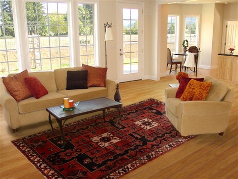 Bakhtiar Red Hand Knotted 611 X 103  Area Rug 100-17821 Image 4