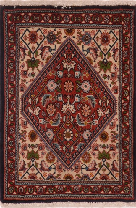 Bidjar Red Hand Knotted 14 X 20  Area Rug 100-17834 Image 0