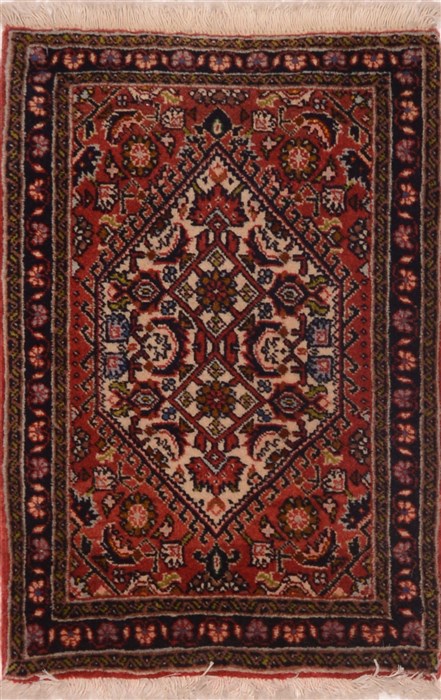 Bidjar Red Hand Knotted 14 X 20  Area Rug 100-17835 Image 0