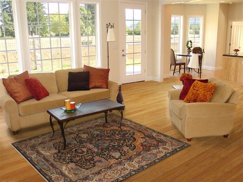 Tabriz Black Hand Knotted 48 X 73  Area Rug 100-18149 Image 5