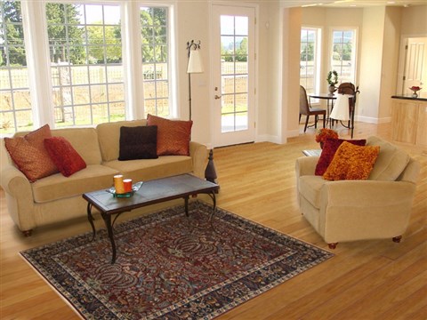 Tabriz Red Hand Knotted 41 X 65  Area Rug 100-18154 Image 5