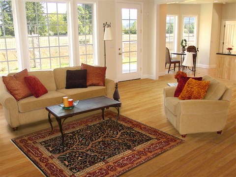 Tabriz Black Hand Knotted 48 X 73  Area Rug 100-18155 Image 5