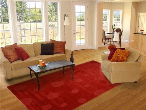 Modern Red Hand Tufted 80 X 110 Area Rug 100-18207 Image 4