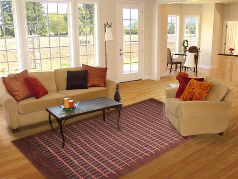 Indo-Nepal Brown Hand Knotted 80 X 100  Area Rug 151-18271 Image 4