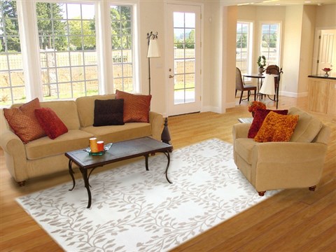 Indo-Nepal White Hand Knotted 80 X 100  Area Rug 151-18287 Image 4