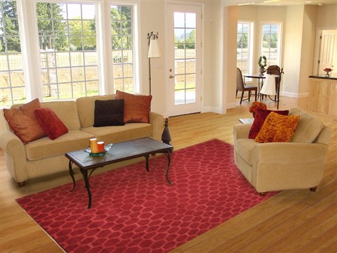 Indo-Nepal Red Hand Knotted 80 X 100  Area Rug 151-18292 Image 4