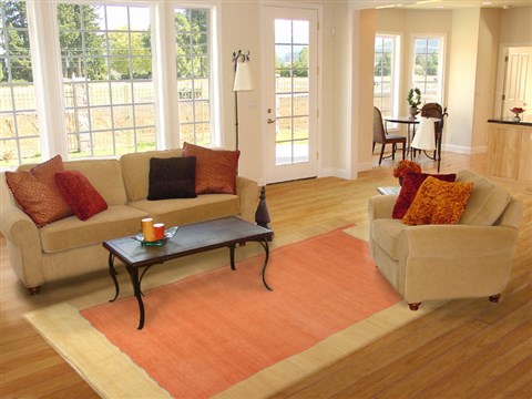 Indo-Nepal Orange Hand Knotted 80 X 100  Area Rug 151-18306 Image 4