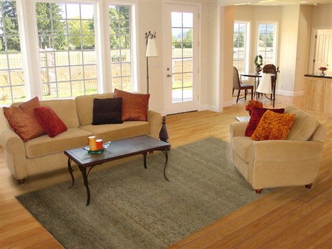 Indo-Nepal Green Hand Knotted 80 X 100  Area Rug 151-18324 Image 5