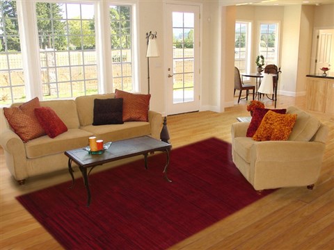 Indo-Nepal Red Hand Knotted 80 X 100  Area Rug 151-18336 Image 3