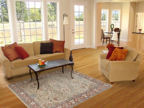 Pishavar White Hand Knotted 40 X 60  Area Rug 151-18358 Image 3