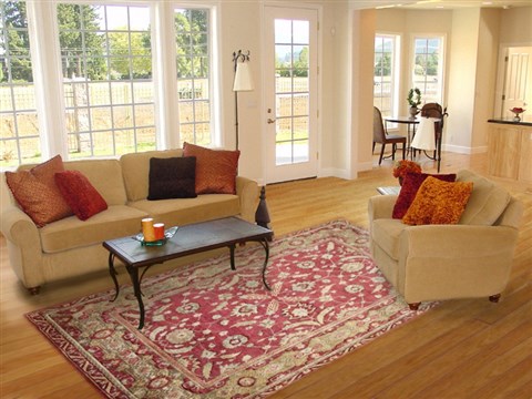 Indo-Nepal Red Hand Knotted 80 X 110  Area Rug 151-18400 Image 1