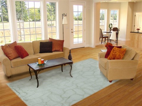 Indo-Nepal Grey Hand Knotted 80 X 100  Area Rug 151-18407 Image 3