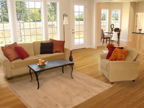 Shaggy Beige Hand Tufted 50 X 80 Area Rug 100-18437 Image 4