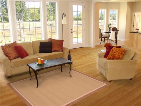 Modern Brown Hand Tufted 52 X 72 Area Rug 100-18586 Image 5