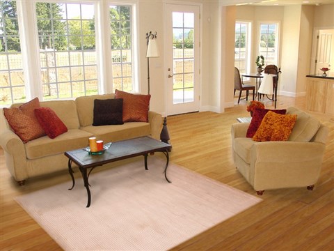 Modern Beige Hand Knotted 40 X 60  Area Rug 100-18588 Image 13