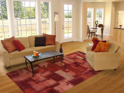 Gabbeh Red Hand Knotted 80 X 100  Area Rug 151-18637 Image 4