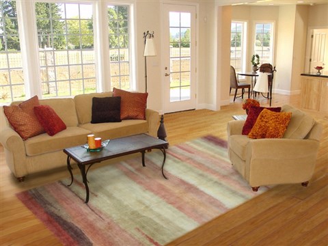 Gabbeh Multicolor Hand Knotted 80 X 100  Area Rug 151-18650 Image 4