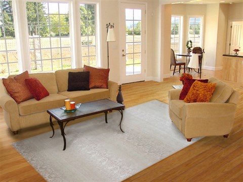 Indo-Nepal Beige Hand Knotted 80 X 100  Area Rug 151-18664 Image 4