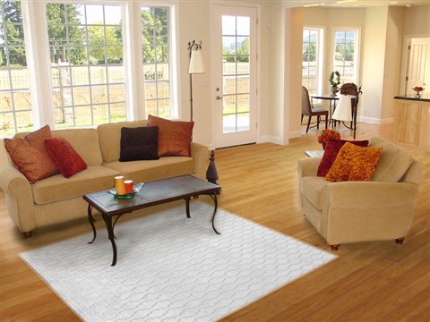 Indo-Nepal Grey Hand Knotted 50 X 80  Area Rug 151-18723 Image 4