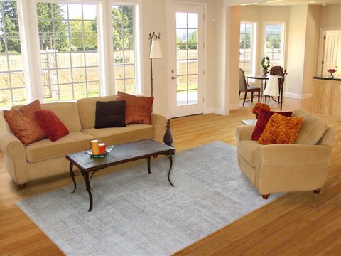 Indo-Nepal Grey Hand Knotted 80 X 100  Area Rug 151-18763 Image 3