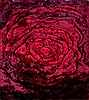 Modern Red Hand Knotted 50 X 80  Area Rug 151-18821 Thumb 0