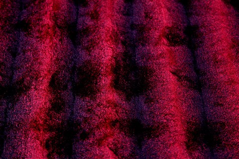 Modern Red Hand Knotted 50 X 80  Area Rug 151-18822 Image 7