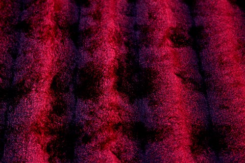 Modern Red Hand Knotted 50 X 80  Area Rug 151-18822 Image 8