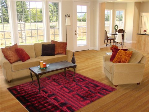 Indo-Nepal Red Hand Knotted 50 X 80  Area Rug 151-18823 Image 4