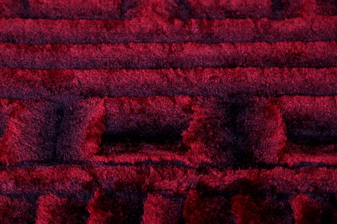 Indo-Nepal Red Hand Knotted 50 X 80  Area Rug 151-18823 Image 8