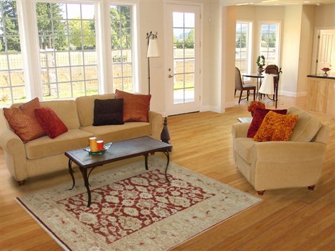 Chobi Red Hand Knotted 40 X 60  Area Rug 151-18912 Image 5