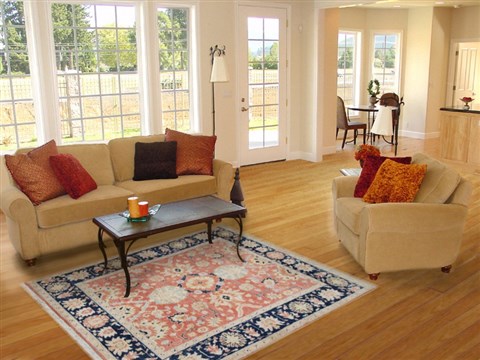 Chobi Red Hand Knotted 40 X 60  Area Rug 151-18917 Image 5