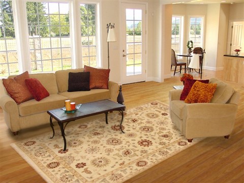 Ziegler Beige Hand Knotted 61 X 91  Area Rug 250-19006 Image 4